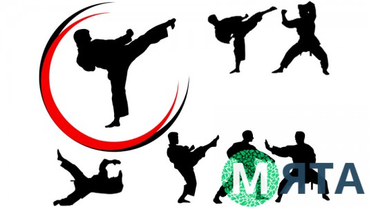 Единоборство 5