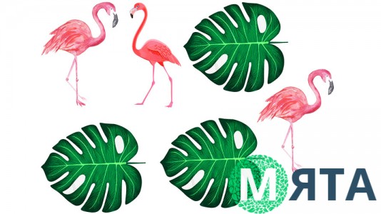 Съедобная картинка с Фламинго 4