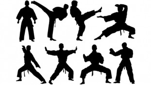 Единоборство 8