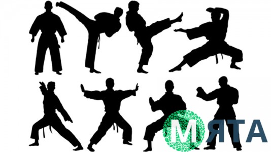 Единоборство 8