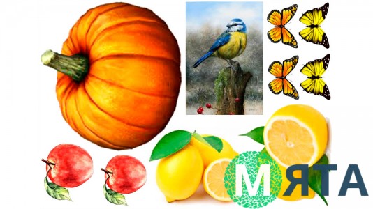 Съедобная картинка   "Тыква"