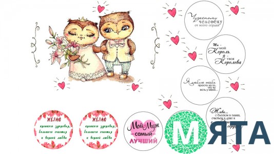 Съедобная картинка Совушки