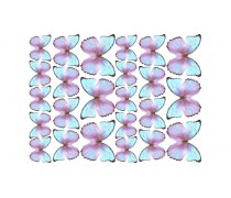 Бабочки 10