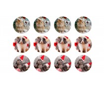 Новогодняя картинка Зайцы №6