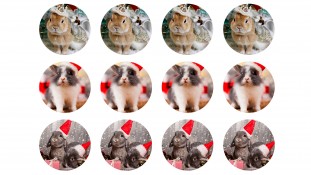 Новогодняя картинка Зайцы №6