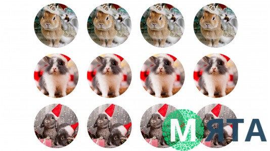 Новогодняя картинка Зайцы №6