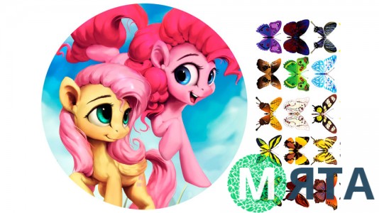 Литл Пони 18