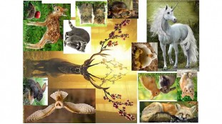 Лесные звери