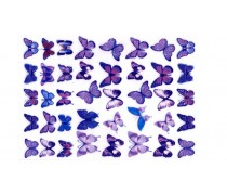 Съедобная картинка Бабочки 18