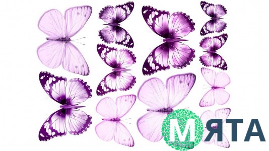 Съедобная картинка Бабочки 19