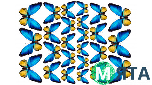 Съедобная картинка Бабочки 23