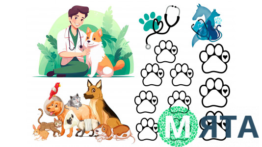 Съедобная картинка "Ветеренар"