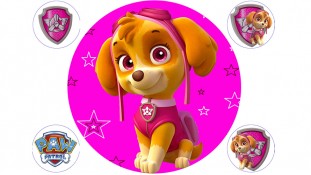 Щенячий патруль 10
