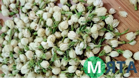 Сушеные бутоны жасмина