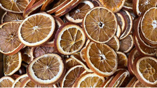 Сушеный апельсин кольцами