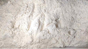 Глютен пшеничный (клейковина)