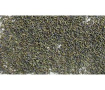 Сушеные цветки Лаванды