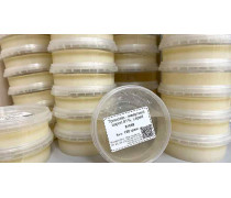 Тримолин - инвертный сироп 81%, Laped