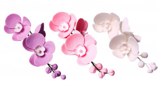 Сахарное украшение Орхидея Фаленопсис