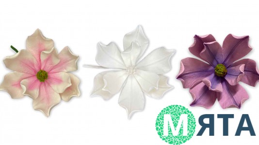 Сахарный цветок Магнолия Премиум