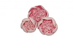 Шоколадные цветы Пионы, набор Шоколадные цветы Пионы, набор