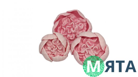 Шоколадные цветы Пионы, набор