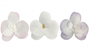 Вафельная Орхидея Вафельная Орхидея