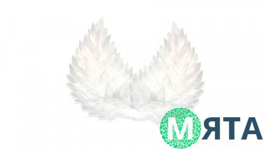 Вафельный декор Большие Крылья