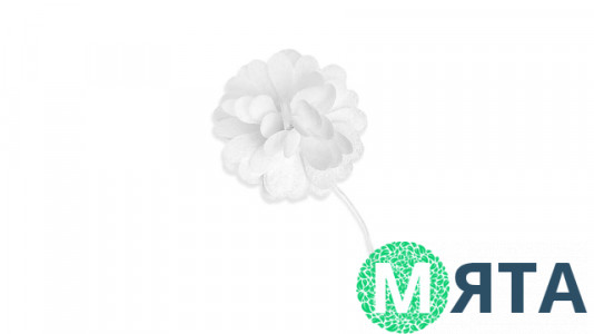 Вафельная Хризантема