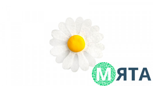 Вафельная Ромашка