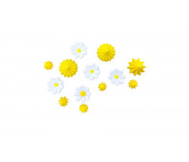 Безе с ромашками Цветочный Танец