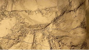 Кэроб Light Кэроб Light