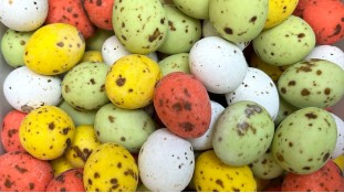 Яйца перепелиные, 6 шт