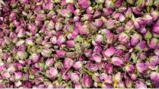 Сушеные бутоны розы, Розовые