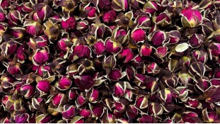 Сушеные бутоны розы,  Бордовые