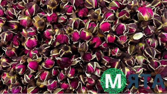 Сушеные бутоны розы,  Бордовые