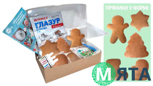 Рождественский набор для украшения пряников