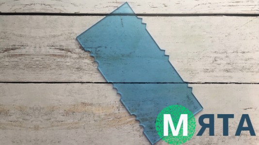 Акриловый шпатель №3