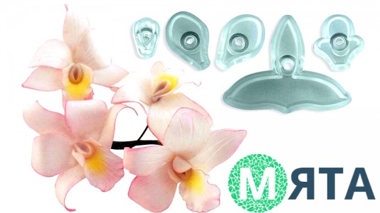 Вырубка кондитерская для Орхидеи. 5 элементов