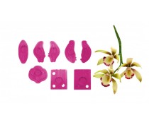 Вырубка Орхидея Цимбидиум