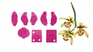 Вырубка Орхидея Цимбидиум