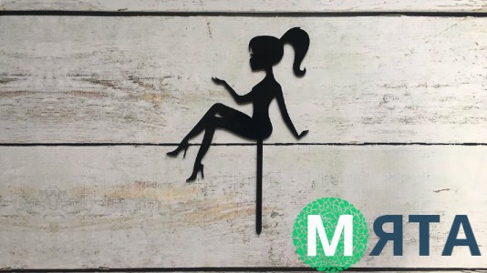 Топпер Девушка 5, акрил