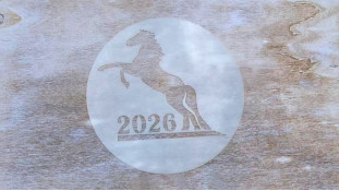 Трафарет Лошадь 2026, 12 см