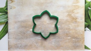 Вырубка Нарцисс Вырубка Нарцисс