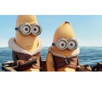 Міньйони 5