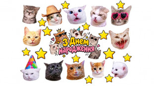 Їстівна картинка Коти 11 