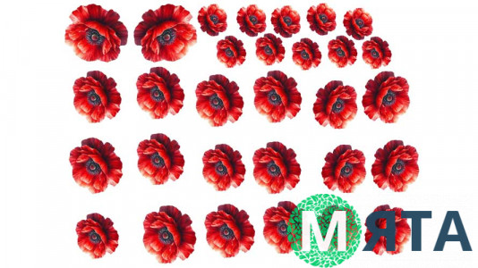 Їстівна картинка "Квіти Мак" 25