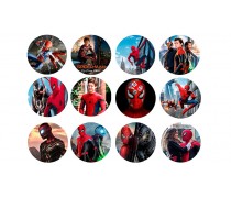 Людина Павук 6