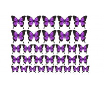 Метелики 8