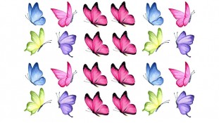 Метелики 11